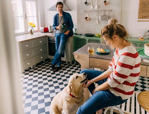 melhor piso para apartamento com cachorro