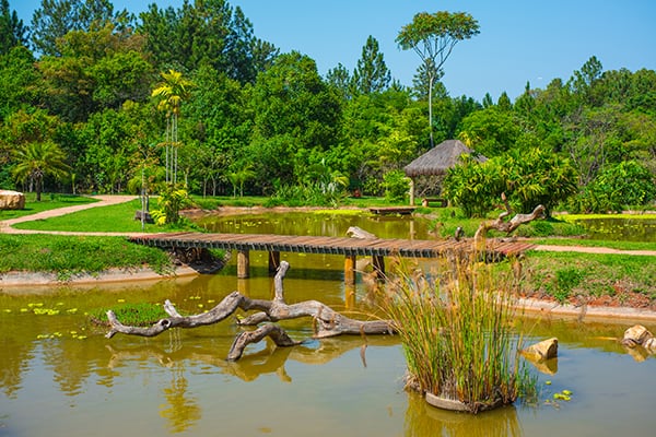 EC 317 de Samambaia - DF: Passeio Ecológico ao Parque Nacional Água Mineral  - Um oásis em nosso cerrado